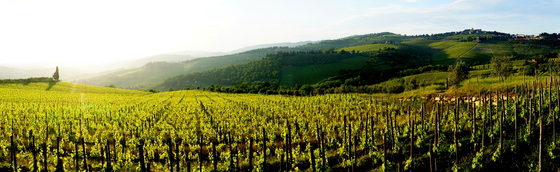 Tuscan panorama near Panzano.JPG